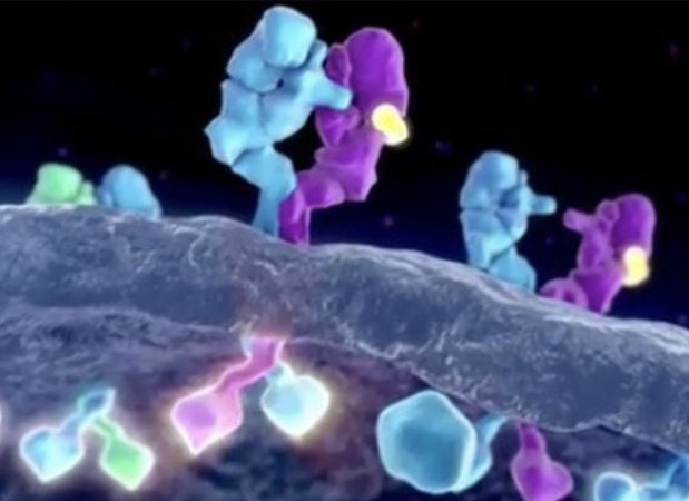 Understanding and exploiting information transfer across cellular membranes